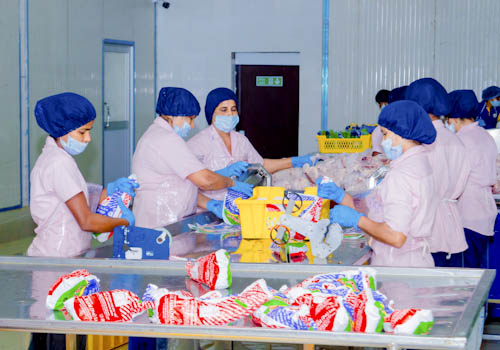 poultry-farming-gallery-1