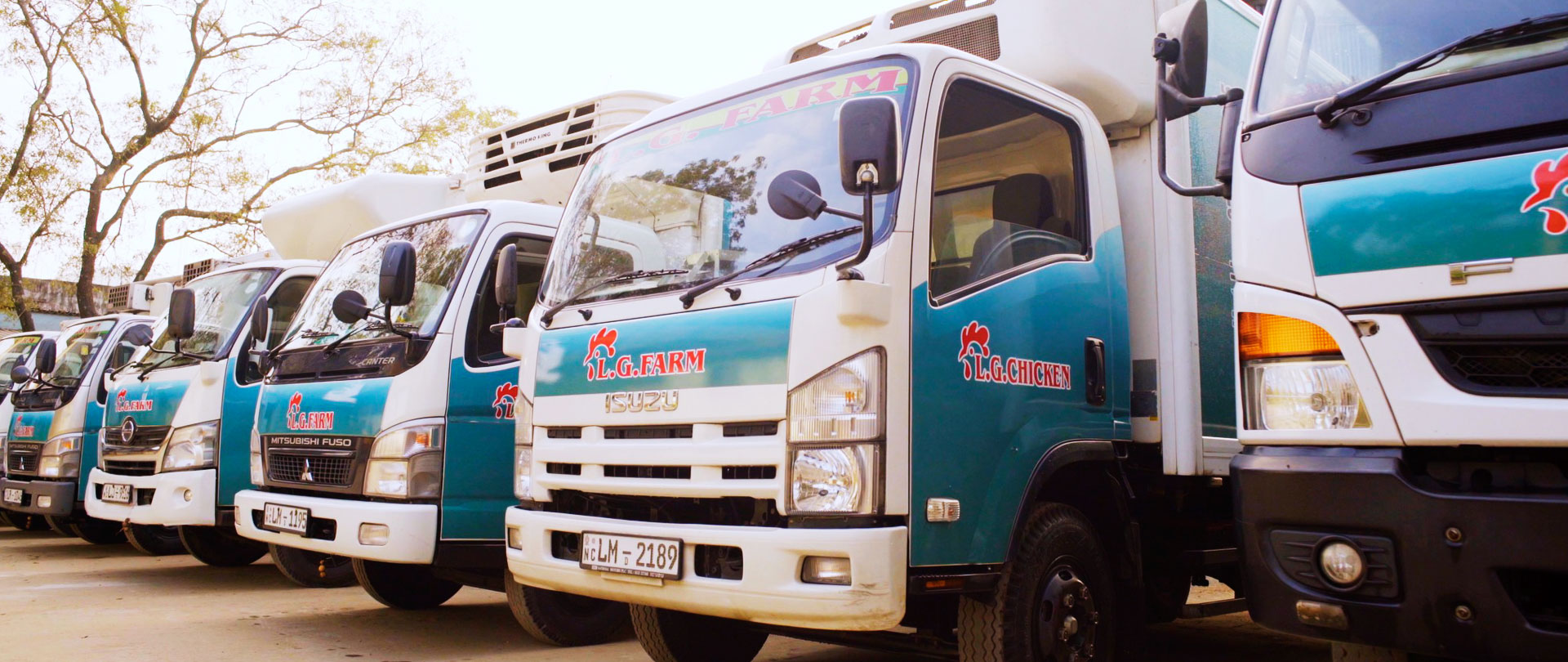 poultry-farming-slider-1